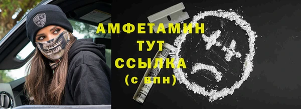 мет Алексин