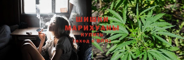 гашик Алексеевка